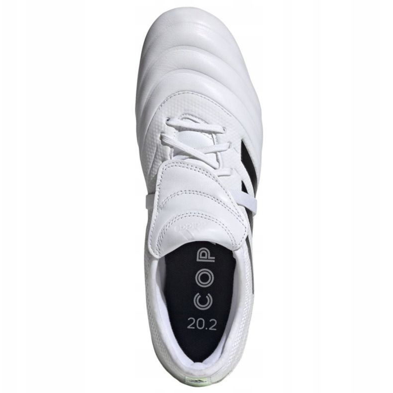 Adidas Copa Gloro 20.2 Fg M G28627 fotbollsskor mångfärgad vit 2