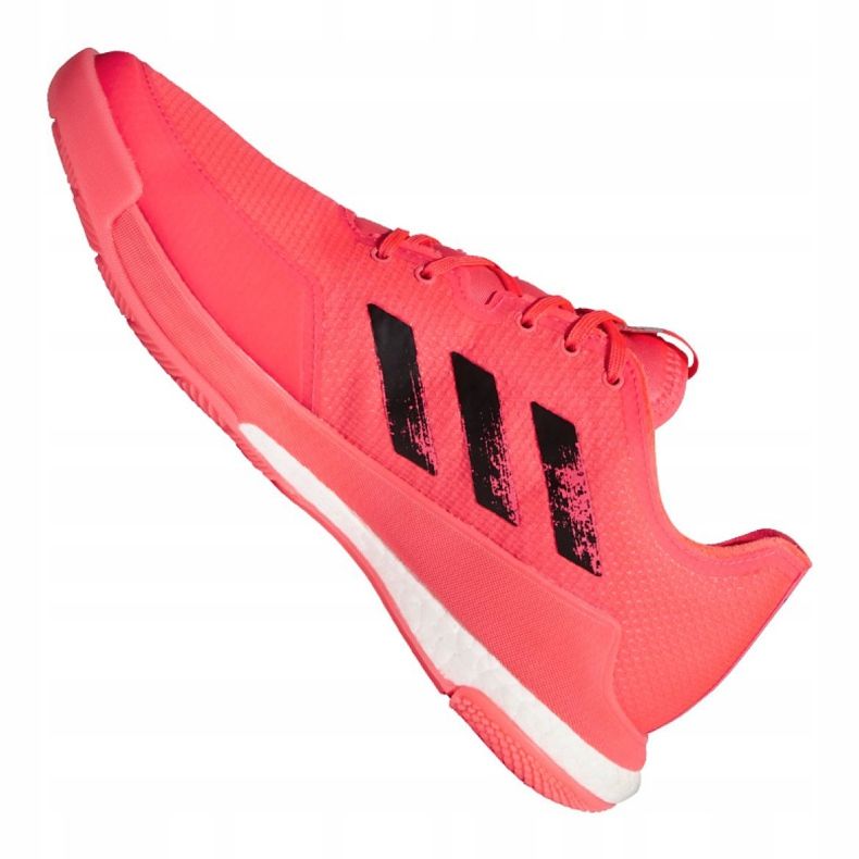 Adidas Crazyflight Tokyo M FX1764 volleybollskor mångfärgad rosa 1