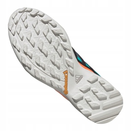 Adidas Terrex Swift R2 Gtx M FV6843 skor marinblå grön 2