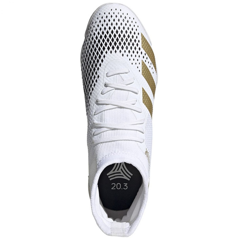 Adidas Predator 20.3 In M FW9194 fotbollsskor mångfärgad vit 1