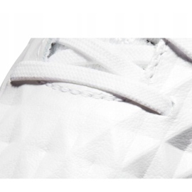 Nike Legend 8 Elite Fg M AT5293-163 fotbollsskor mångfärgad vit 2