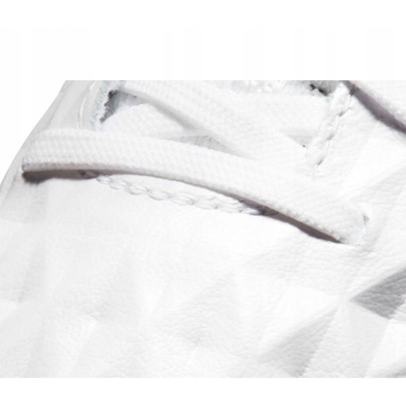 Nike Legend 8 Elite Fg M AT5293-163 fotbollsskor mångfärgad vit 2