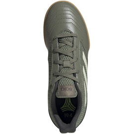 Adidas Predator 19.4 In Junior khaki EF8224 fotbollsskor grön grön 1