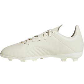 Adidas X 18.4 FxG Jr DB2421 fotbollsskor mångfärgad beige 1