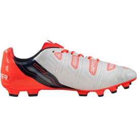 Puma Evo Power 1.2 Ag 103213 05 fotbollsskor grå 1