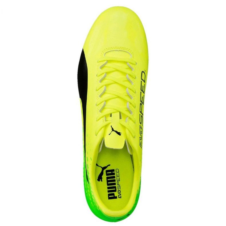 Fotbollsskor Puma Evo Speed ​​17.4 Fg M 104017 01 grön 1