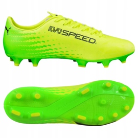 Fotbollsskor Puma Evo Speed ​​17.4 Fg M 104017 01 grön 2