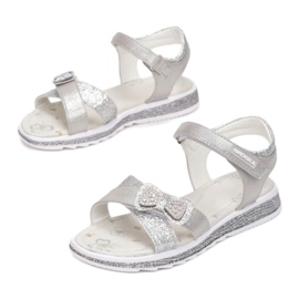 Vices 5SD734-441-grå / silver silver- 1