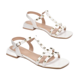 Vices CIC-10-71-white vit 1