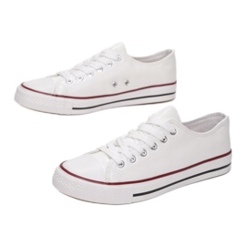 Vices FG-2913-1-71-vit 1