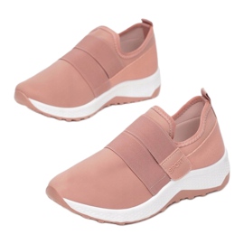 Vices FY-57-45-rosa 1