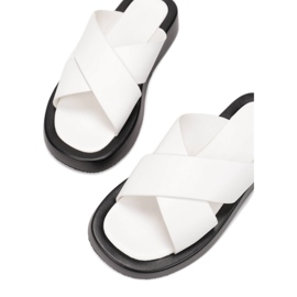 Vices 1010-12-71-vit 1