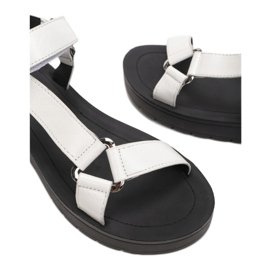 Vices 11-13-71-vita 1