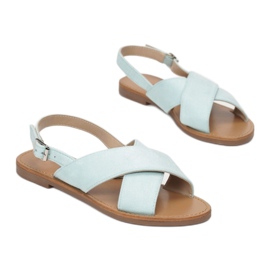 Vices 839-753-61-grön 1