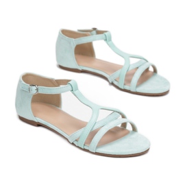 Vices CM-1372-61-grön 1