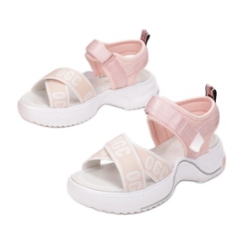 Vices C-T9119-45-rosa 1