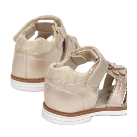 Vices T19-48-60-guld gyllene 1