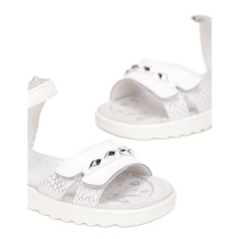 Vices T51-73-71-vit 1