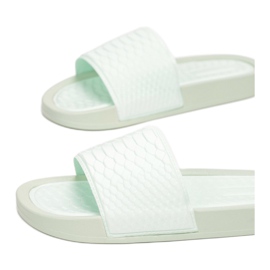 Vices CD209-61-grön 1