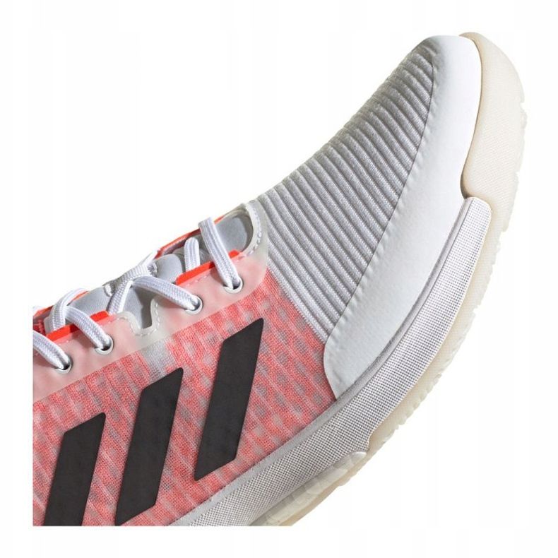 Adidas Crazyflight Tokyo M GW2321 skor vit vit 1