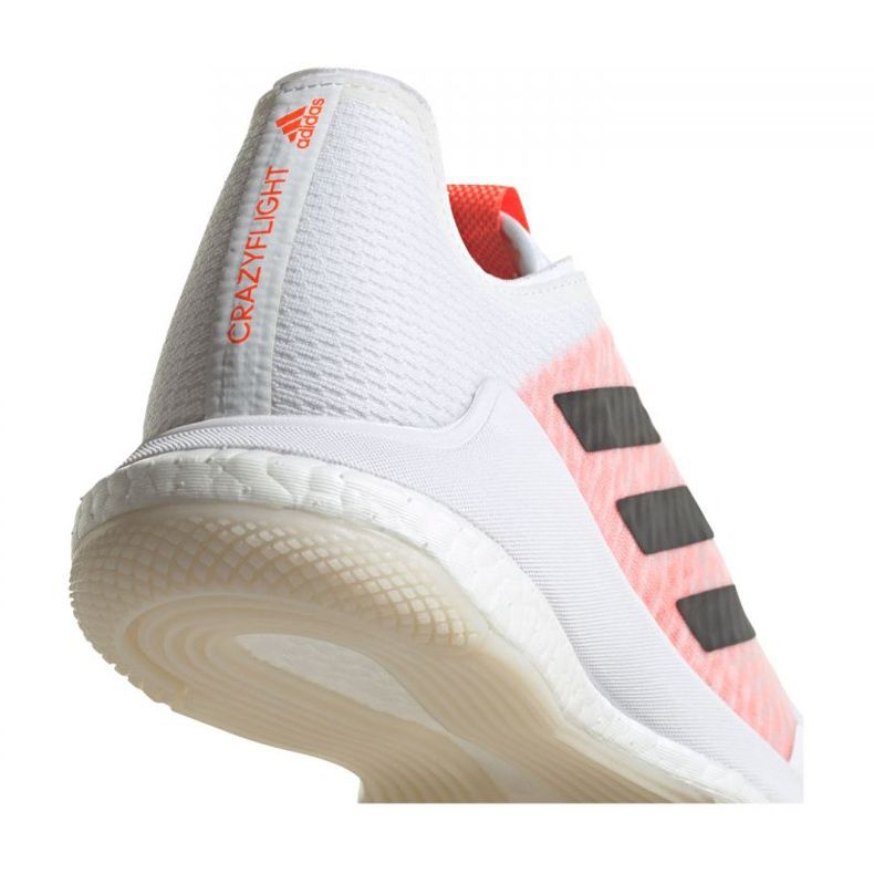 Adidas Crazyflight Tokyo M GW2321 skor vit vit 2