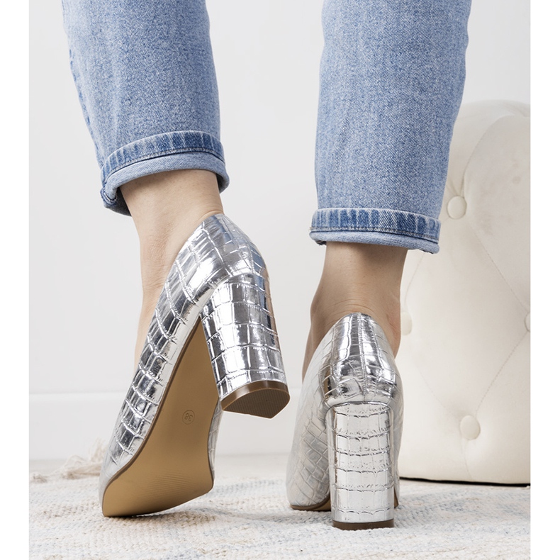 Silverpumpar på Cowen -stolpen 1