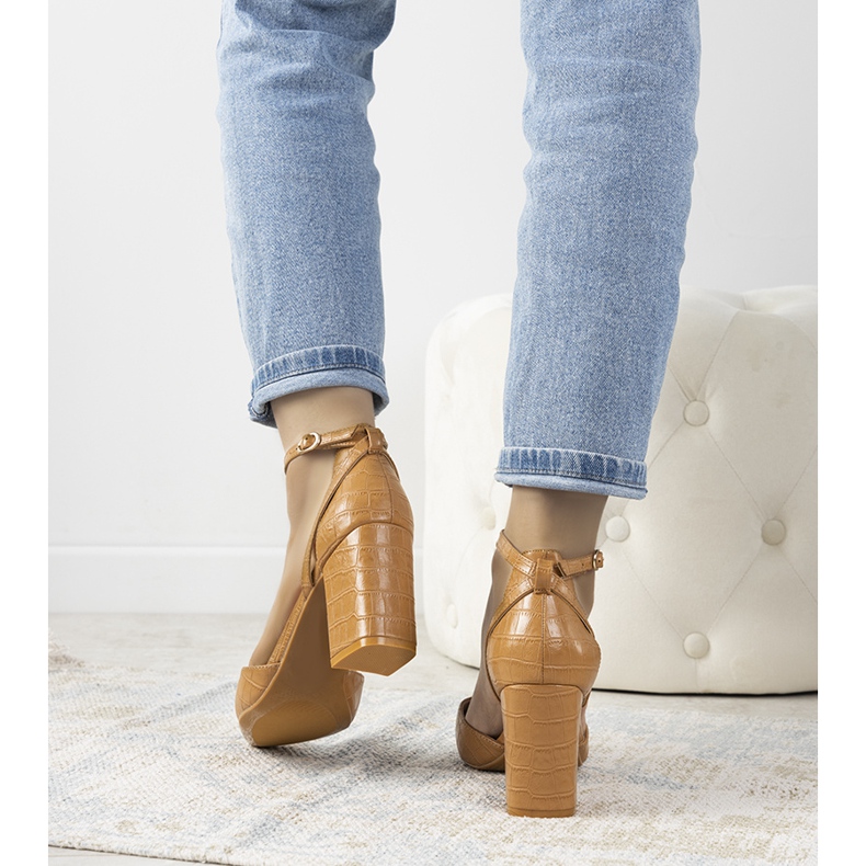 Kamelpumpar på Davies -inlägget brun 1