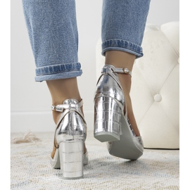 Silverpumpar på Davies -stolpen silver- 1