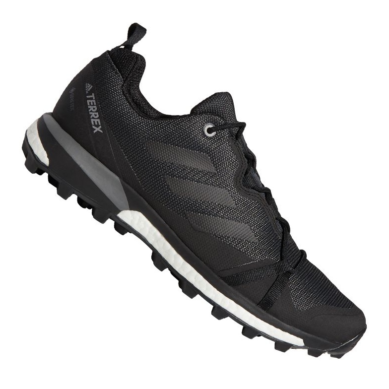 Skor adidas Terrex Skychaser Lt Gtx M F36099 svart 1
