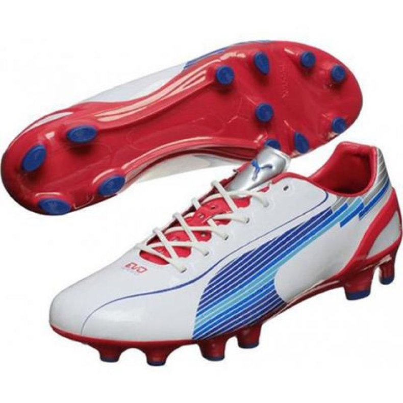 Fotbollsskor Puma Evo Speed ​​1 Fg M 102527 01 vit vit 1