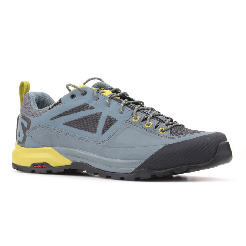 Salomon X Alp Spry Gtx M 401621 skor grå 1