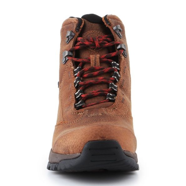Ariat Berwick Gtx W 10016299 skor brun 2