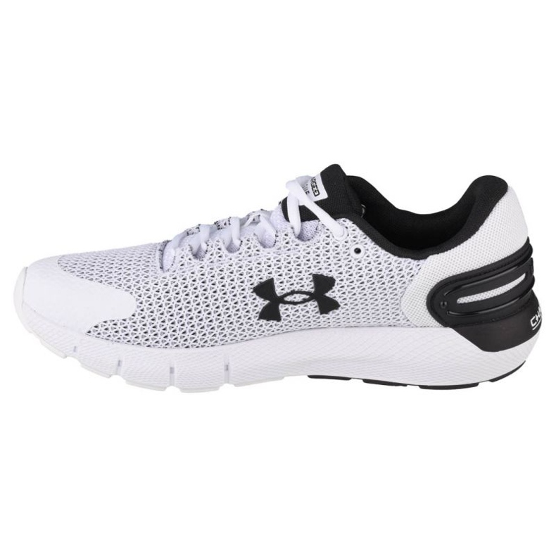 Under Armour Charged Rogue 2.5 M 3024 400-101 vit 1