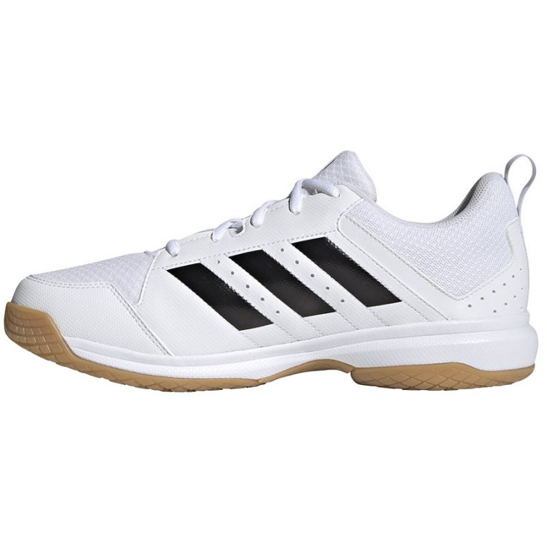 Adidas Ligra 7 M GZ0069 volleybollskor vit vit 1