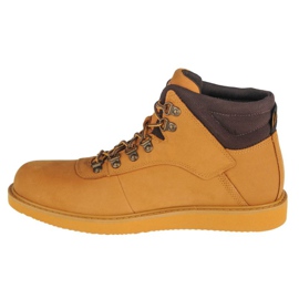 Timberland Newmarket A2QJF skor brun 1