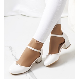 Vita pumps på en låg stolpe från Lynden 1