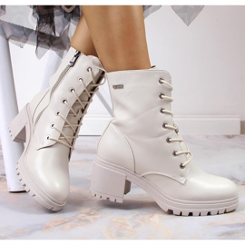 Stövlar på stolpen, isolerad beige Vinceza 1