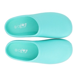 Befado damskor - mint 154D005 grön 1