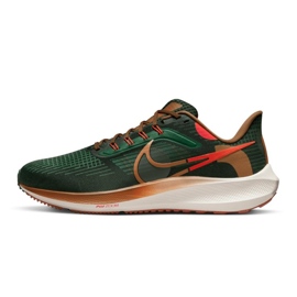 Nike Air Zoom Pegasus 39 AIR Hola Lou M DO9500-300 sko grön 1