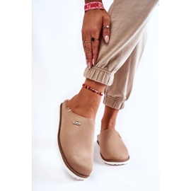 Varmtofflor för hushåll Inblu CS-34-011 Beige 2