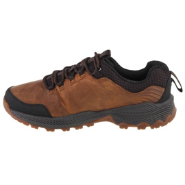 Merrell Forestbound M J99643 skor brun 1