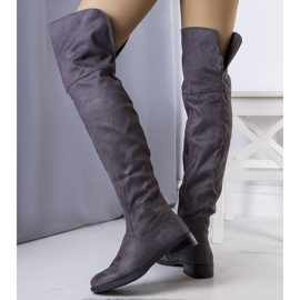 BM Grå isolerade musketörer från Salci 1