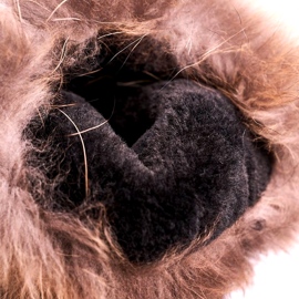 Kvinnors snöstövlar isolerade med päls hud svart mocka 4