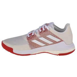 Volleybollskor adidas CrazyFlight W EF2679 vit vit 1