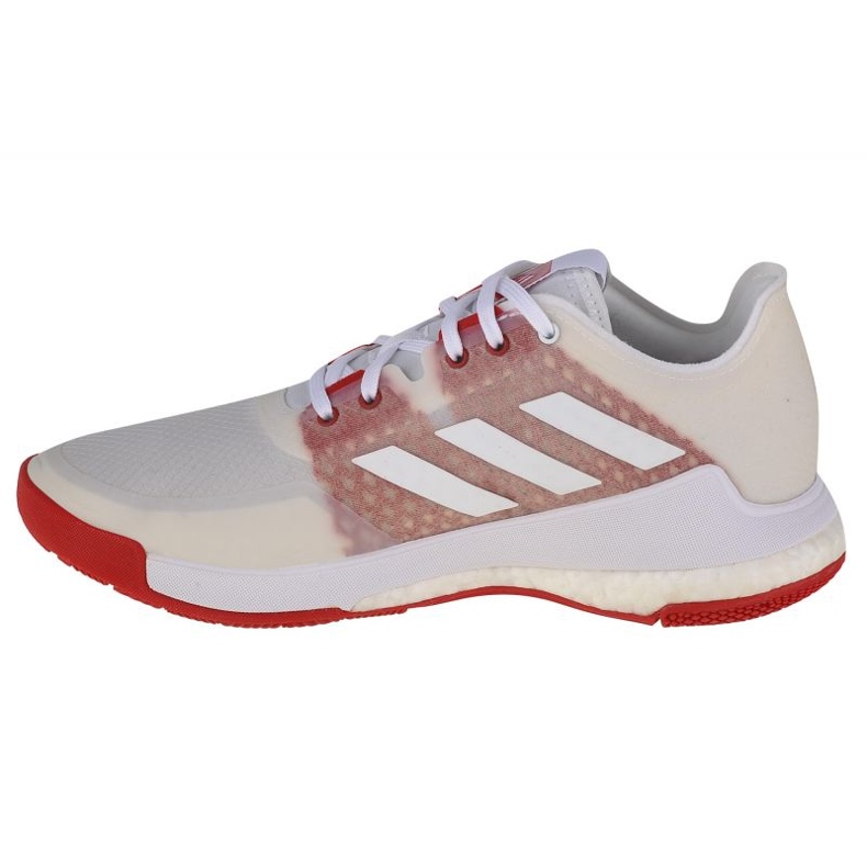 Volleybollskor adidas CrazyFlight W EF2679 vit vit 1