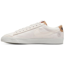 Nike Blazer Low '77 Prm M DV7231 001 skor vit 1